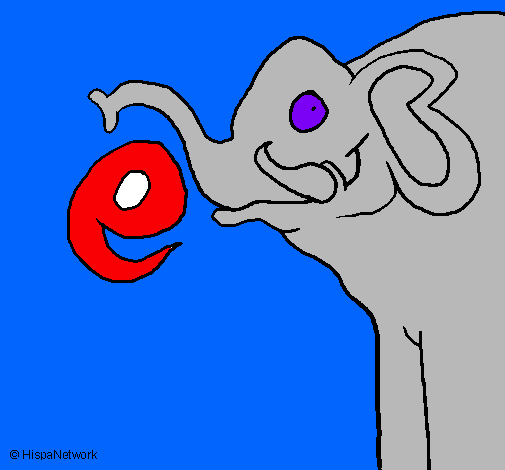 Elefante