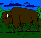 Dibujo Búfalo  pintado por bisontes