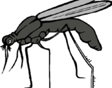 Dibujo Mosquito pintado por dianasara
