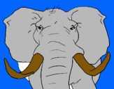 Dibujo Elefante africano pintado por miguelp