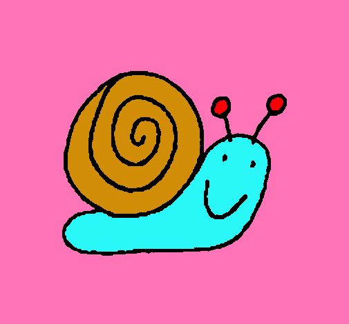 Caracol 4