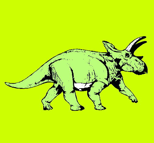 Triceratops