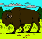 Dibujo Búfalo  pintado por manuelisaac