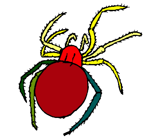 Araña venenosa