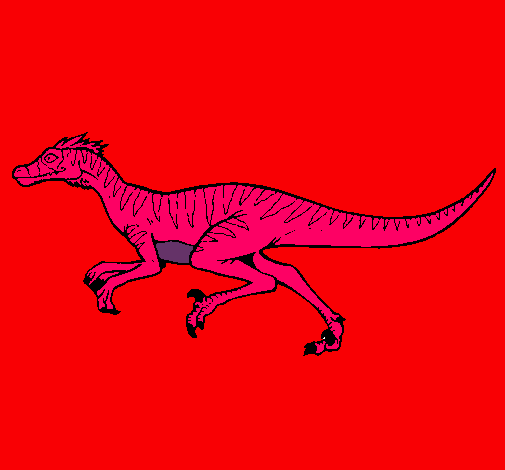 Velociraptor