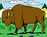 Dibujo Búfalo  pintado por mecmec