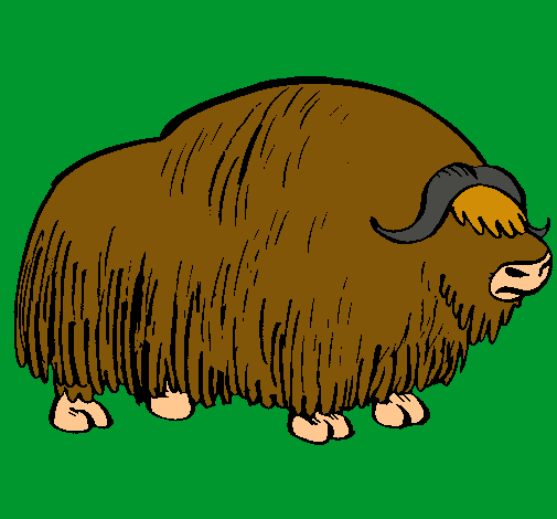 Bisonte