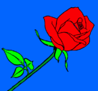 Dibujo Rosa pintado por luluzita