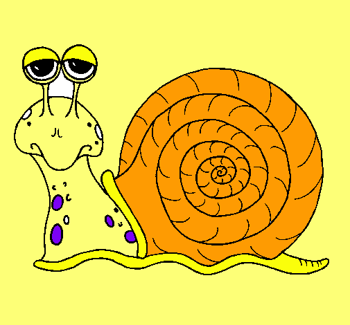 Caracol