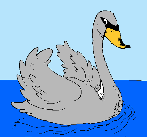 Cisne en el agua