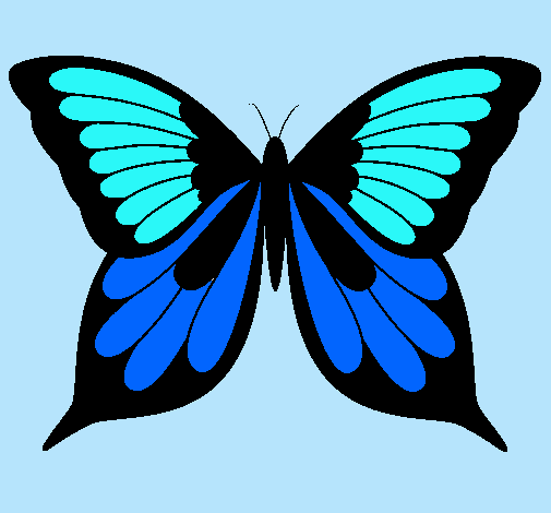 Mariposa