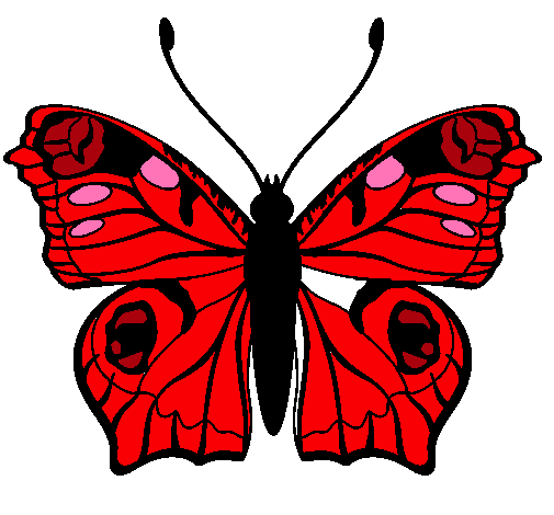 Mariposa 