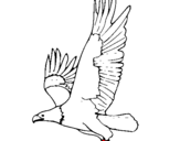 Dibujo Águila volando pintado por Iguitur