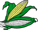 Dibujo Mazorca de maíz pintado por ferchu