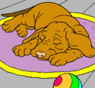 Dibujo Perro durmiendo pintado por Pabloski