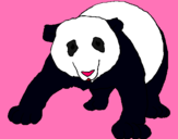 Dibujo Oso panda pintado por ane1612