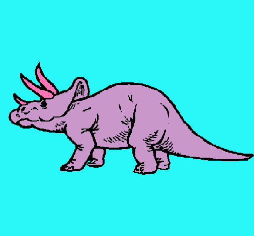 Triceratops