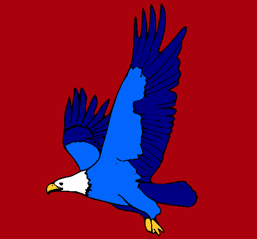 Águila volando