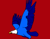 Dibujo Águila volando pintado por amalia