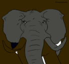Dibujo Elefante africano pintado por mati08