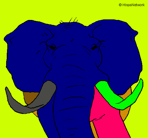 Elefante africano