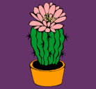 Dibujo Cactus con flor pintado por ferchu
