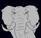 Dibujo Elefante africano pintado por XXXXXXXX1