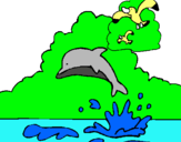 Dibujo Delfín y gaviota pintado por grettel21