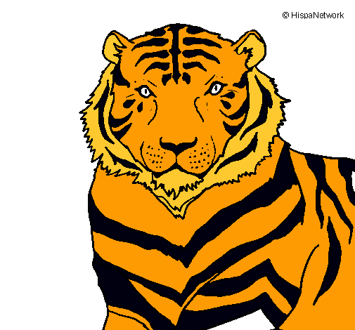 Dibujo Tigre pintado por grettel21