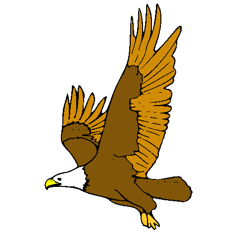 Águila volando