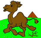 Dibujo Camello pintado por caerr 