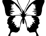 Dibujo Mariposa con alas negras pintado por jkdk