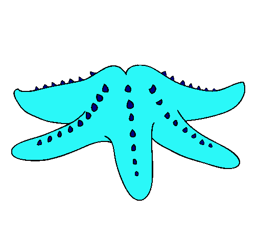 Dibujo Estrella de mar pintado por Majose