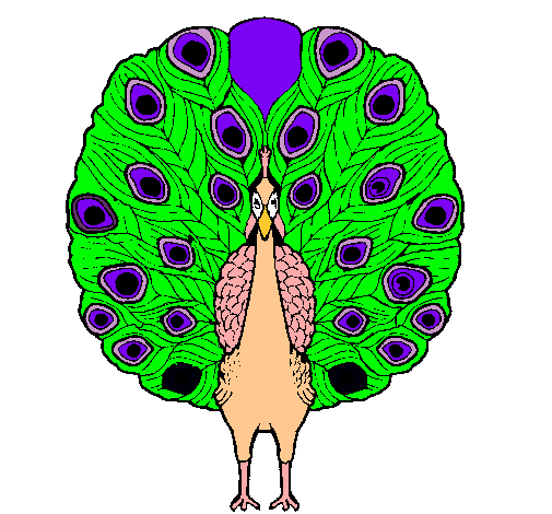 Pavo real