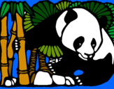 Dibujo Oso panda y bambú pintado por 123456789o