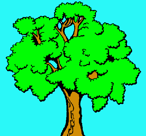 Árbol