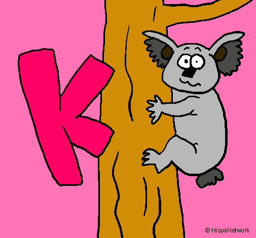 Koala