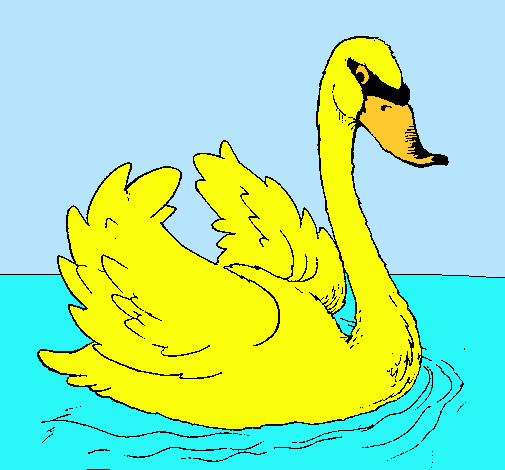 Cisne en el agua