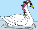 Dibujo Cisne con flores pintado por llaura