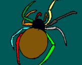Dibujo Araña venenosa pintado por salvotens