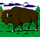 Dibujo Búfalo  pintado por visonte