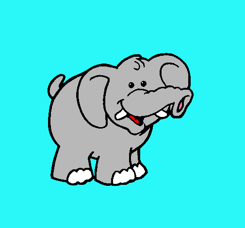 Elefante