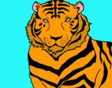 Dibujo Tigre pintado por diego0