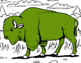 Dibujo Búfalo  pintado por perz