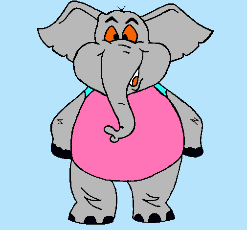 Elefante contento