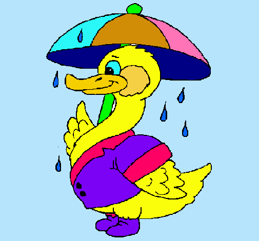 Pato bajo la lluvia
