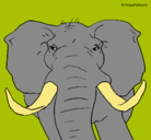 Dibujo Elefante africano pintado por oyela