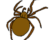 Dibujo Araña venenosa pintado por jhoseph 