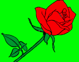 Dibujo Rosa pintado por ivo1