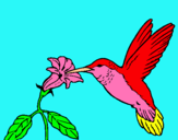 Dibujo Colibrí y una flor pintado por gabireina